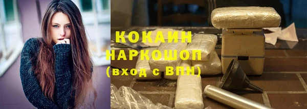 индика Белокуриха