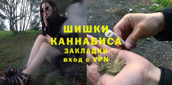индика Белокуриха