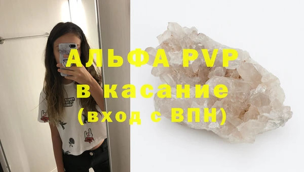 индика Белокуриха