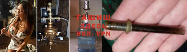 индика Белокуриха