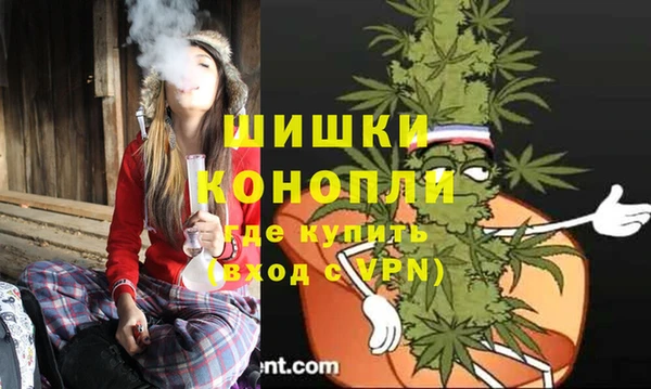 индика Белокуриха