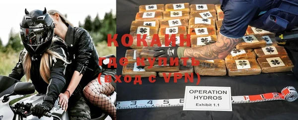 индика Белокуриха