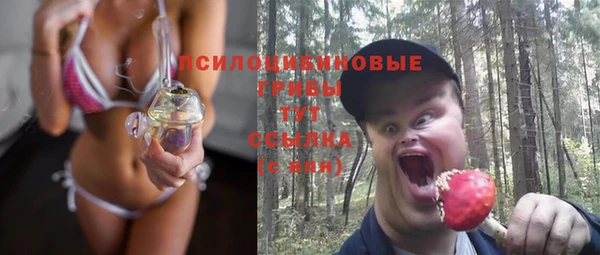 индика Белокуриха