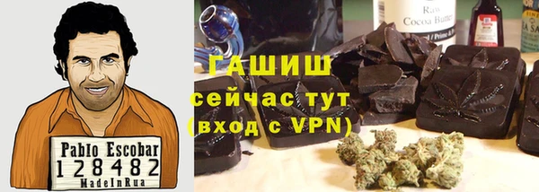 индика Белокуриха