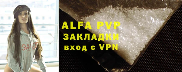 индика Белокуриха